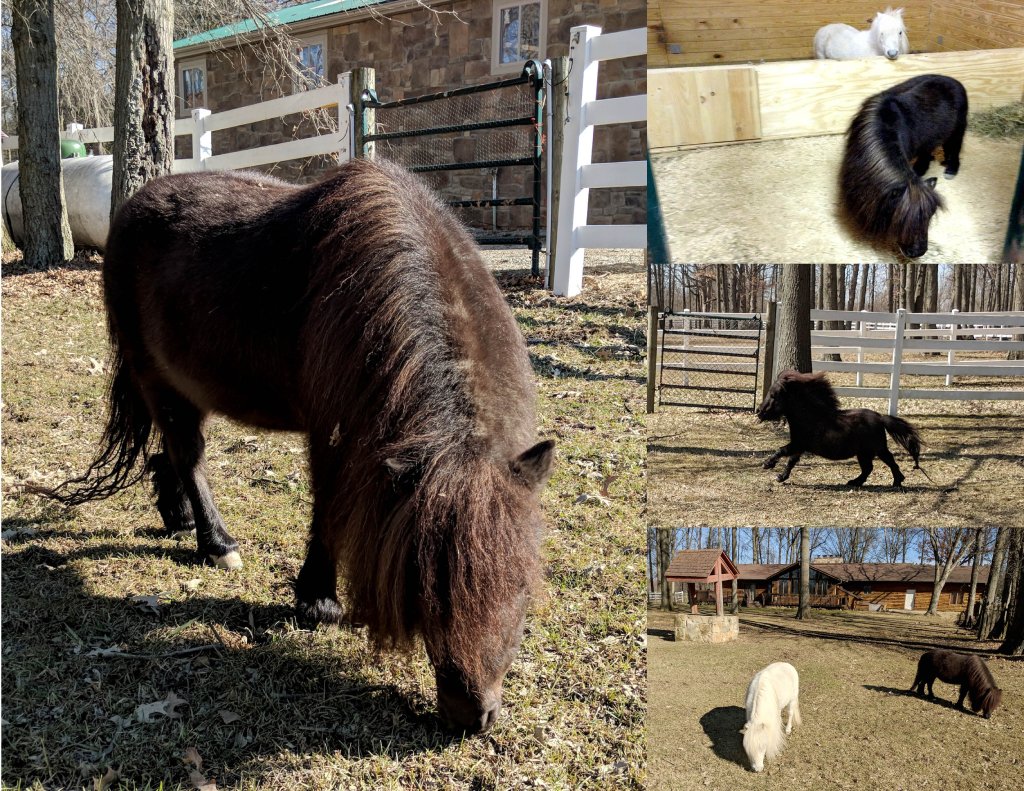 Jose-Photo-Collage (1)